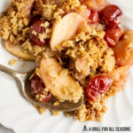 close up of the Apple and Cherry Crumble