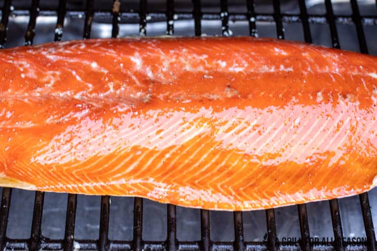 Cooked whole salmon fillet sitting on grill grate in Traeger grill.