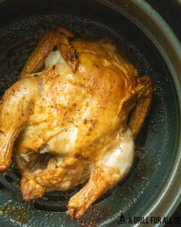 close up of roasted cornish hen in air fryer
