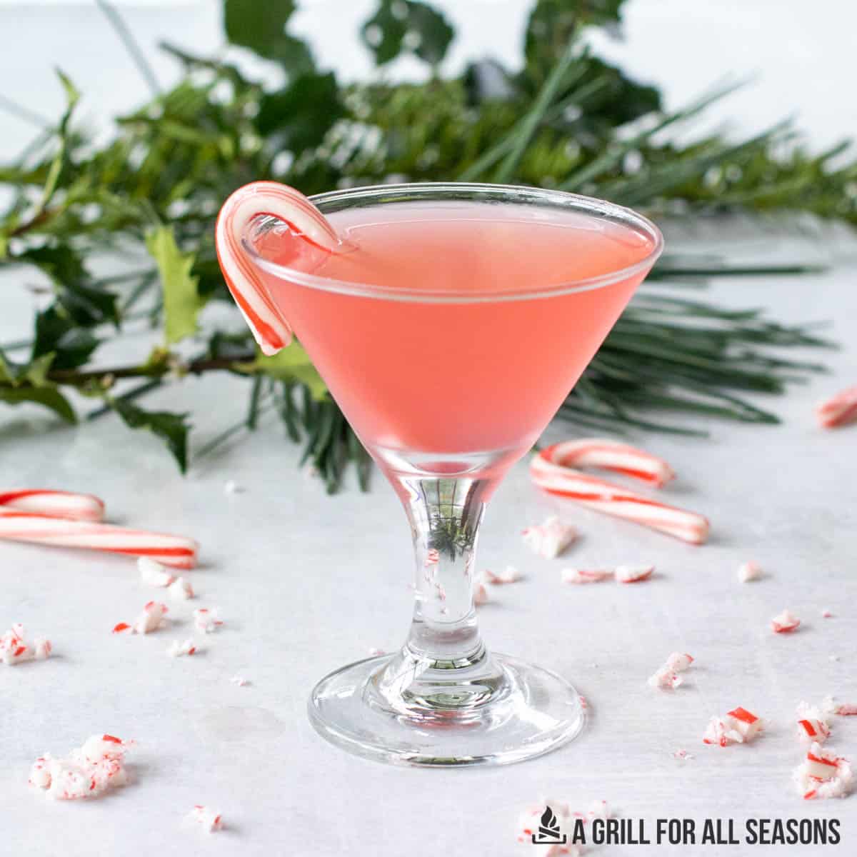 candy cane martini in front of greenery