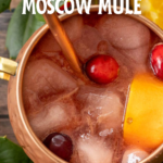 pinterest image for christmas moscow mule