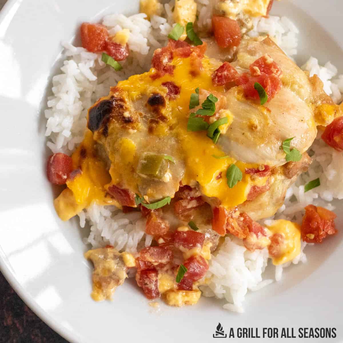 queso chicken served on a bed of rice