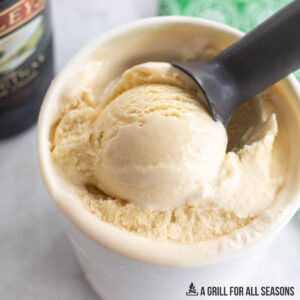 scoop in carton of baileys irish cream ice cream recipe