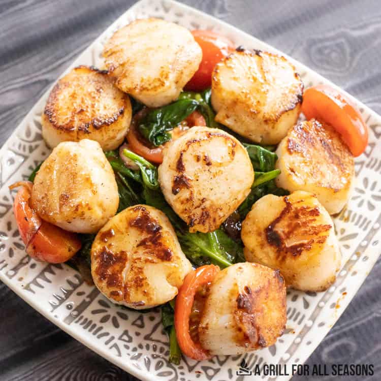 cast iron scallops on top of a spinach salad