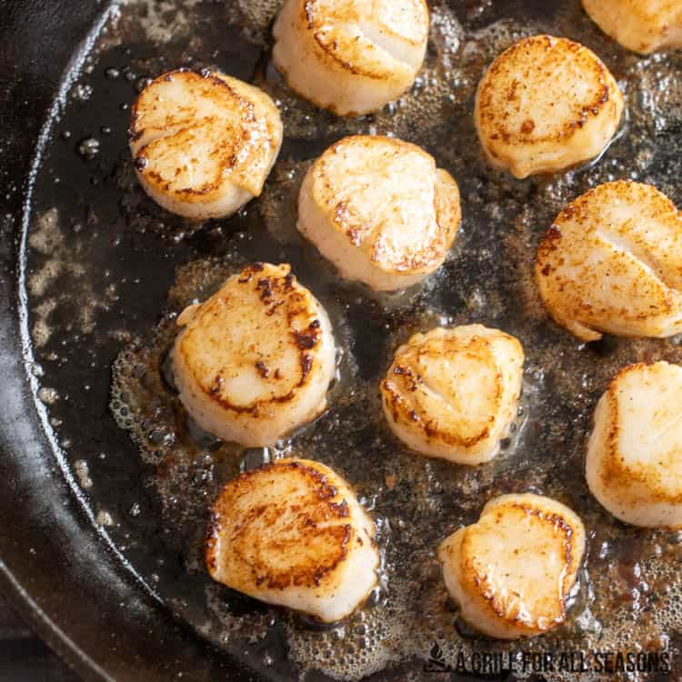 scallops cooking in cast iron skillet