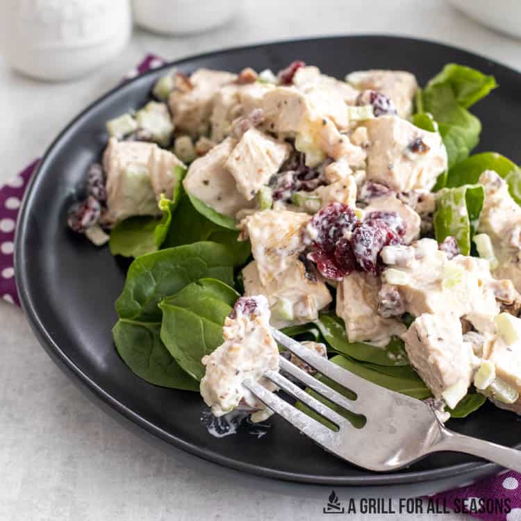 bite of the cranberry pecan chicken salad on a fork