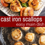 pinterest image for cast iron scallops