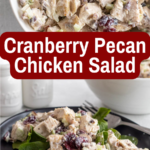 pinterest image for Cranberry Pecan Chicken Salad (1)