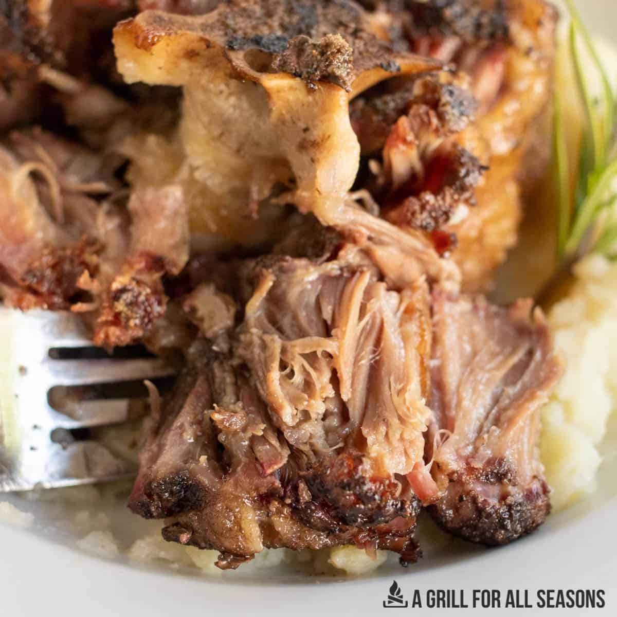 fork pulling meat from the smoked oxtail recipe