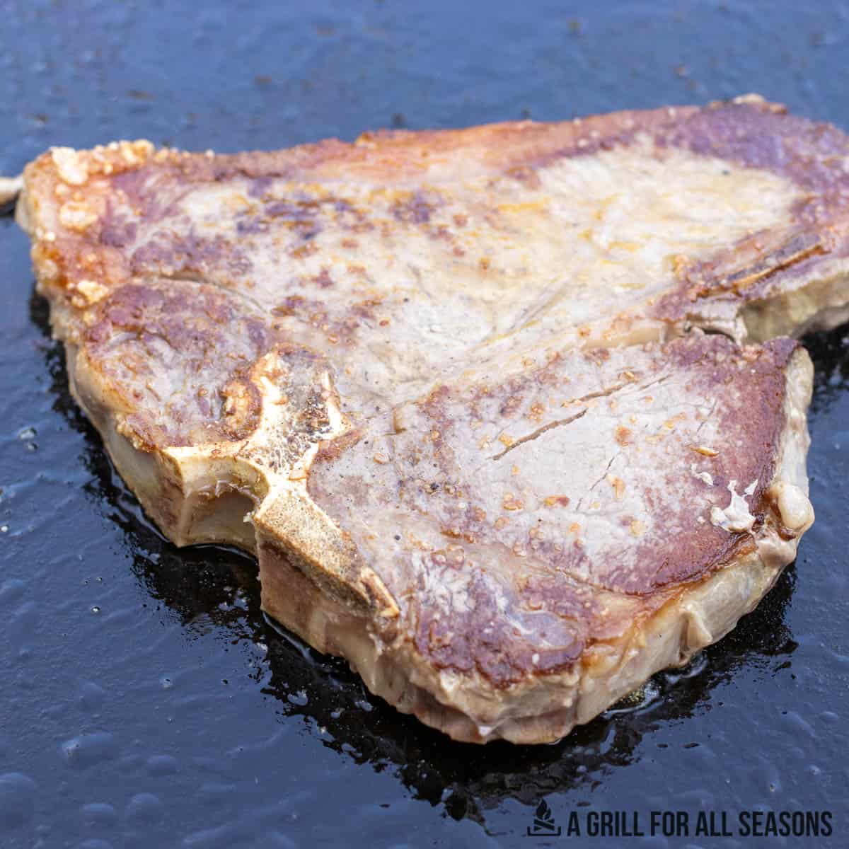 https://agrillforallseasons.com/wp-content/uploads/2023/10/blackstone-steak-recipe-7.jpg
