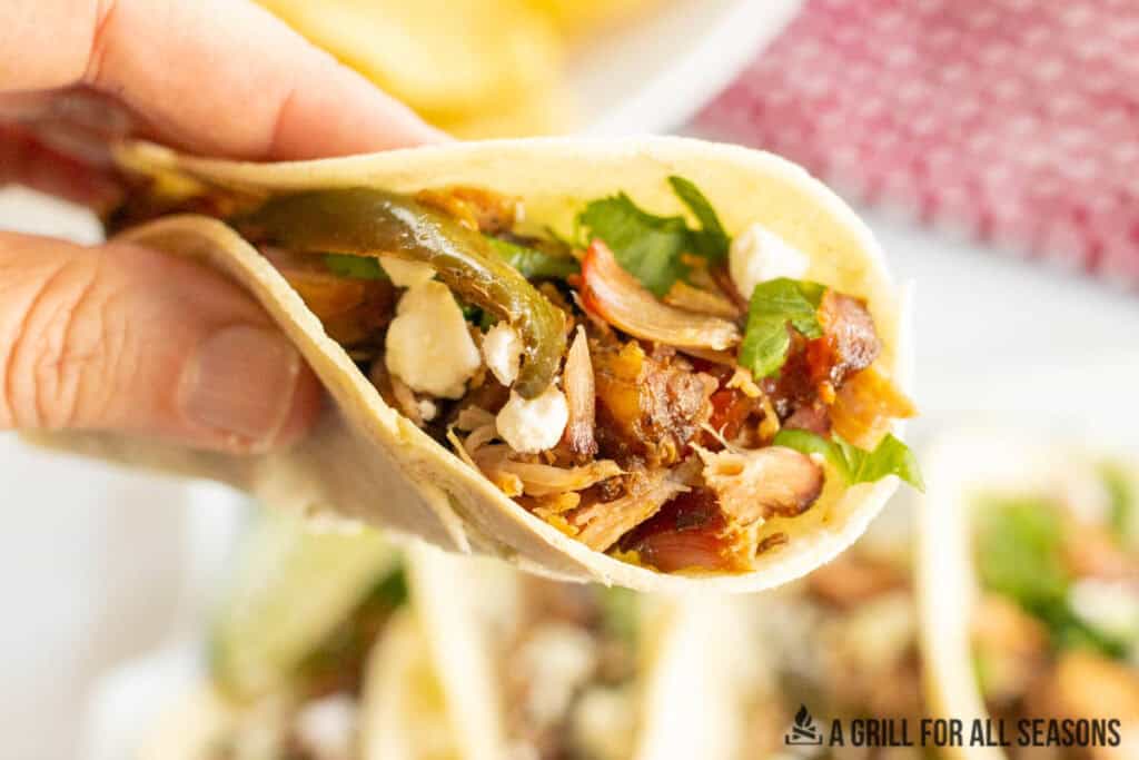 hand holding up a taco with smoked carnitas